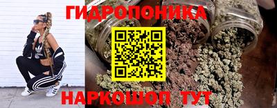 стаф Тула