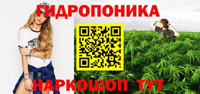 стаф Тула