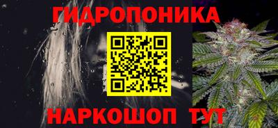 стаф Тула